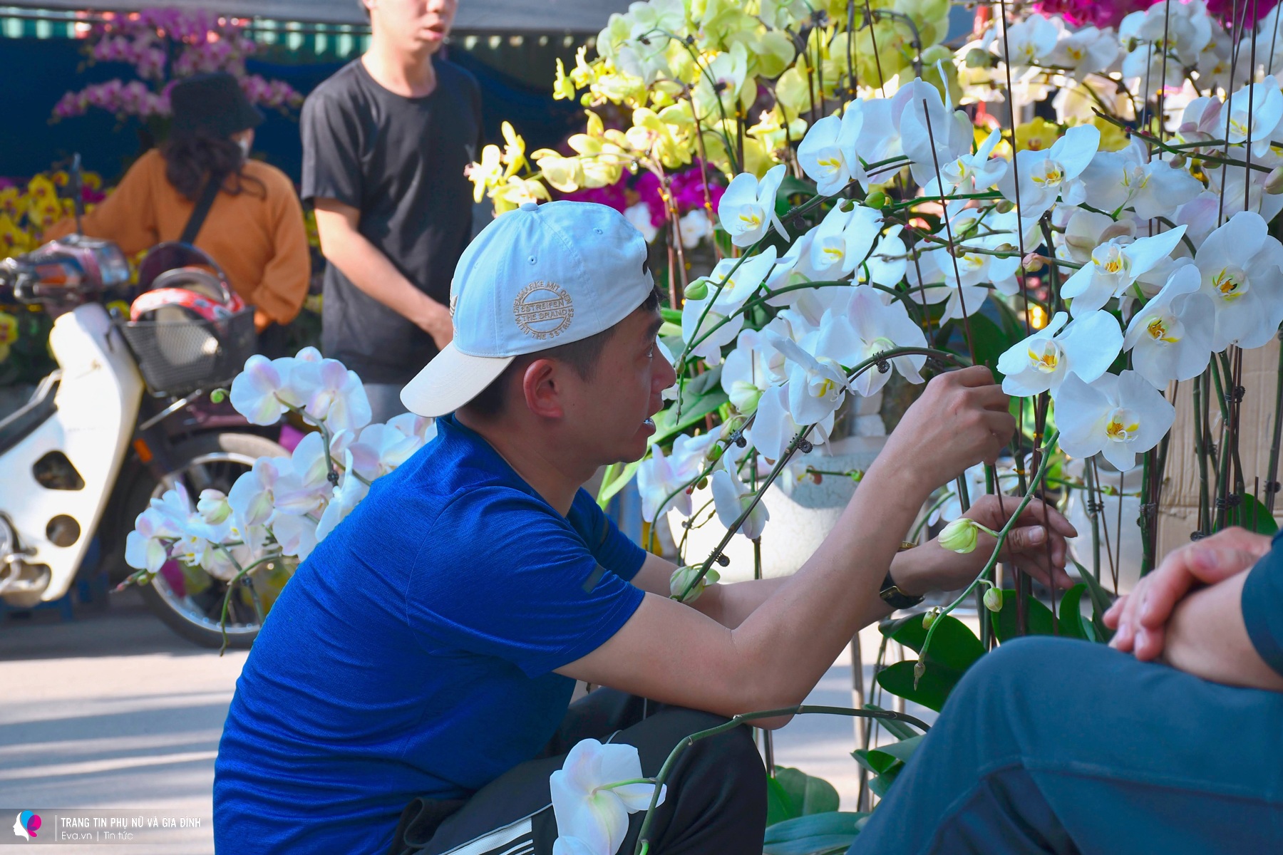 Rực rỡ sắc xuân tại chợ cây lớn nhất Hà Nội, Tết đã đến rất gần - 7