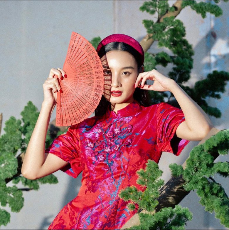 Chân dài gốc Quảng Bình đã có những hoạt động đón Tết trên trang cá nhân với áo dài.
