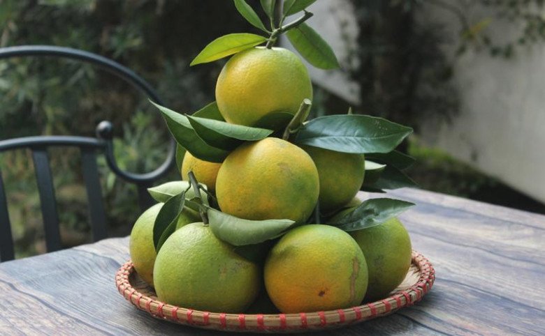 Tết thắp hương nhớ đặt 5 loại quả này trên bàn thờ, cả năm phát tài bình an - 5