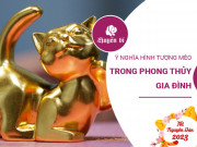 Clip Eva - Ý nghĩa phong thủy của hình tượng mèo - loài vật thân thuộc bậc nhất với con người
