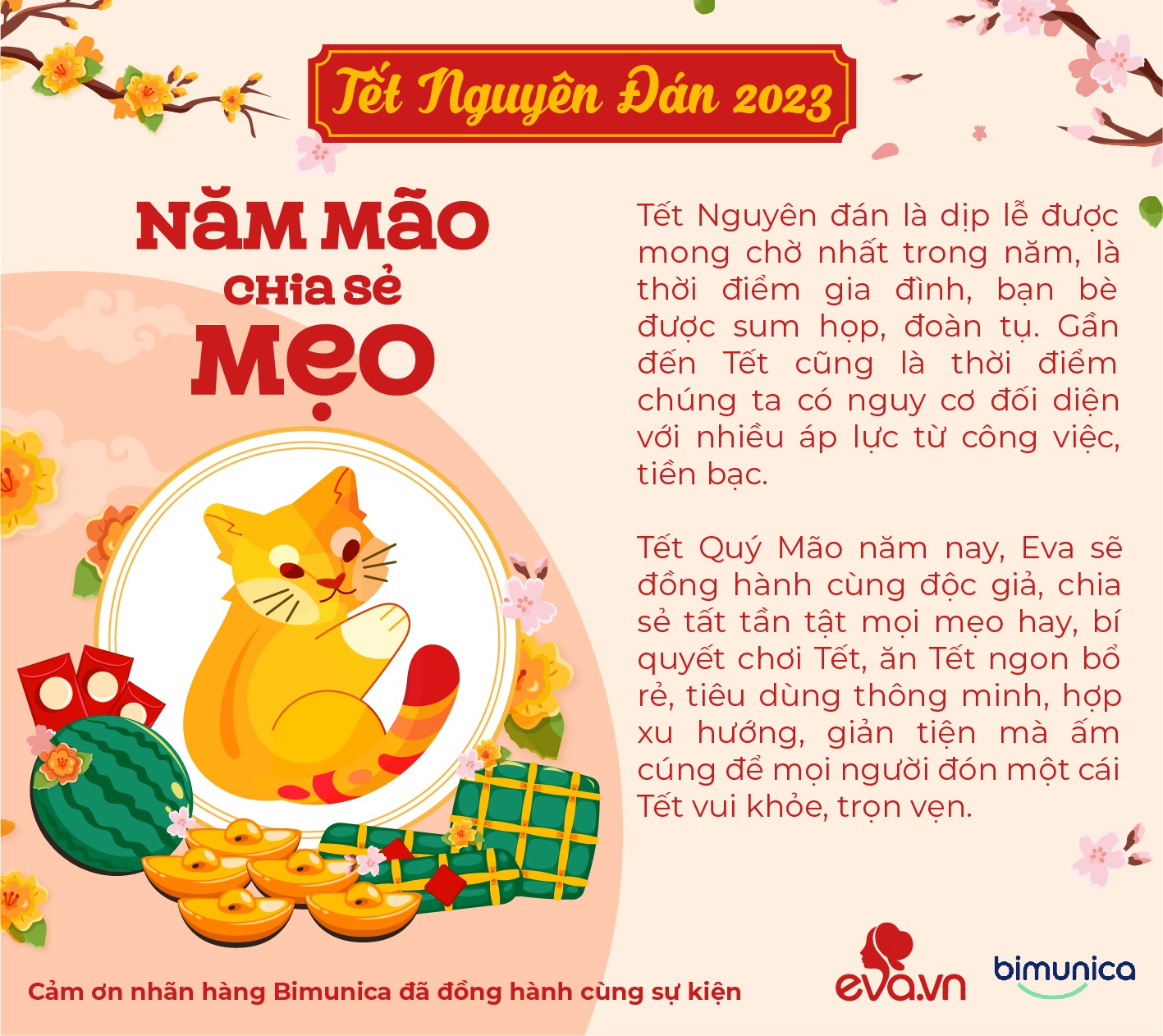 4. Quản Lý Bệnh Lý Mãn Tính và Sử Dụng Thuốc Hợp Lý