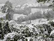 Tin tức - Đêm mùng 6 Tết, không khí lạnh tăng cường gây rét đậm rét hại cho miền Bắc, nhiệt độ giảm sâu