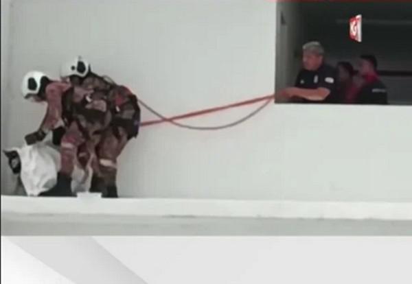 Chú chó hờn dỗi ngồi ở rìa tường tầng 7, đội cứu hộ đến dỗ dành còn vênh mặt quay đi - 2