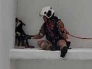 Nhà đẹp - Chú chó hờn dỗi ngồi ở rìa tường tầng 7, đội cứu hộ đến dỗ dành còn vênh mặt quay đi