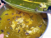 Xem ăn chơi - Đặc sản Hà Giang cực quý và tốt cho sức khỏe, giá cao nhưng nhiều người vẫn lùng mua