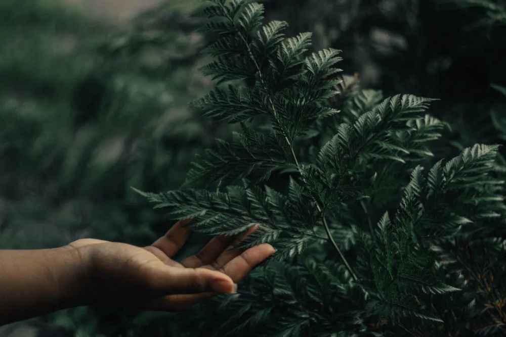 Gallery - Yêu bản thân mình là khởi đầu của mối tình lãng mạn trọn đời