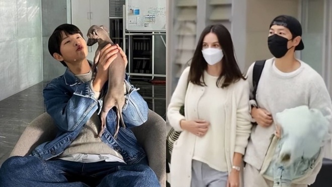 Song Joong Ki đưa bạn gái về Hàn, người đẹp nước Anh thỉnh thoảng che bụng gây chú ý.