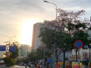 Tin tức - Sài Gòn thơ mộng như Đà Lạt khi vào mùa hoa kèn hồng, những cung đường được nhuộm hồng bởi loài hoa đẹp ngây ngất