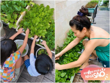 Để các con có tuổi thơ về khu vườn của mẹ, sao Việt bận mấy cũng trồng rau, thành quả miễn chê