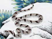 Eva tám - 3 con giáp nữ ngày càng cuốn hút hơn bất chấp tuổi tác