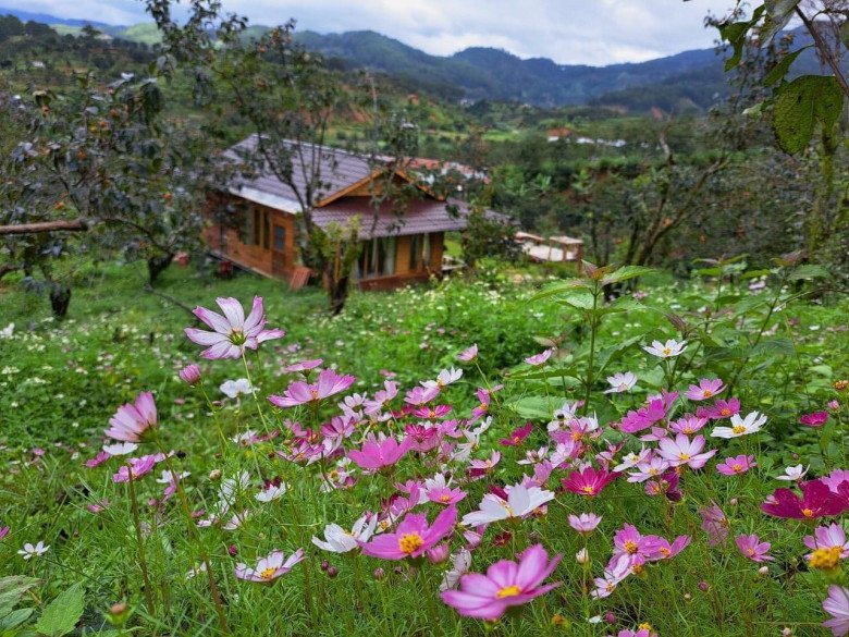 Bỏ phố về quê, mẹ đảm Lâm Đồng xây nhà gỗ giữa vườn hồng, đẹp như truyện cổ tích - 4