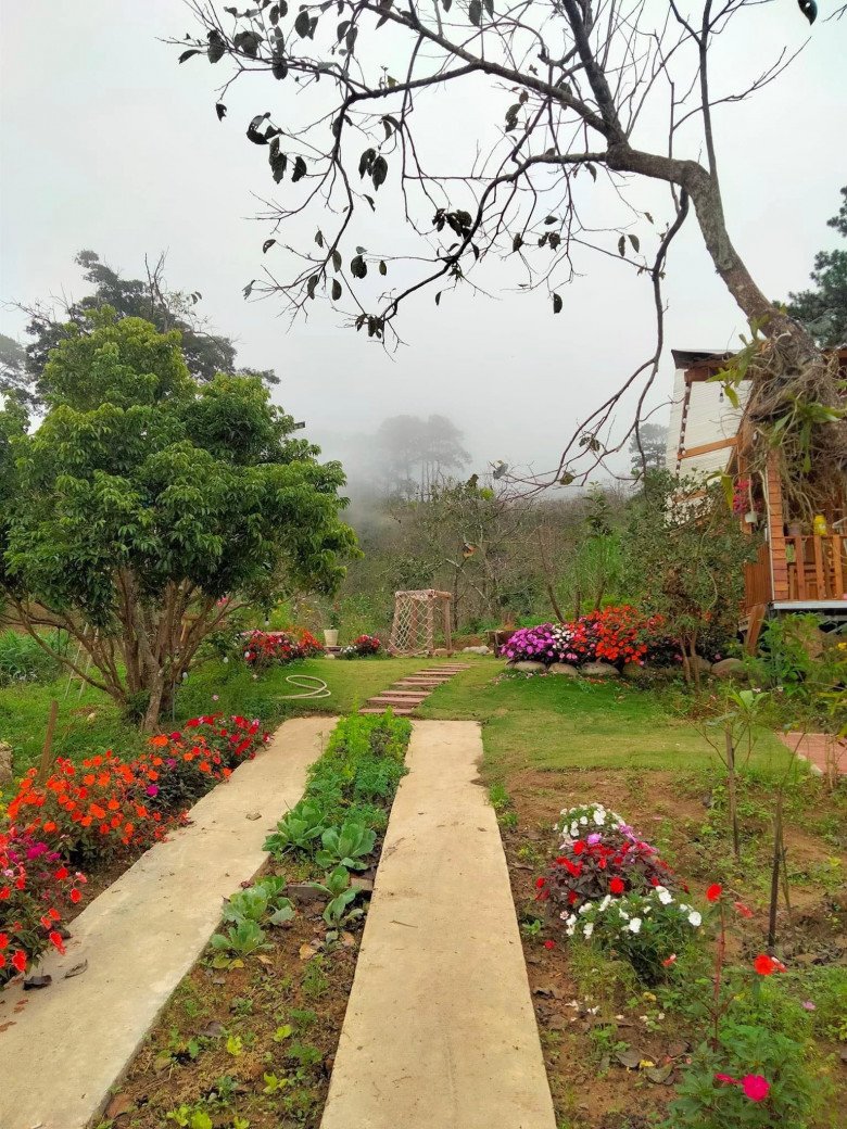 Bỏ phố về quê, mẹ đảm Lâm Đồng xây nhà gỗ giữa vườn hồng, đẹp như truyện cổ tích - 7