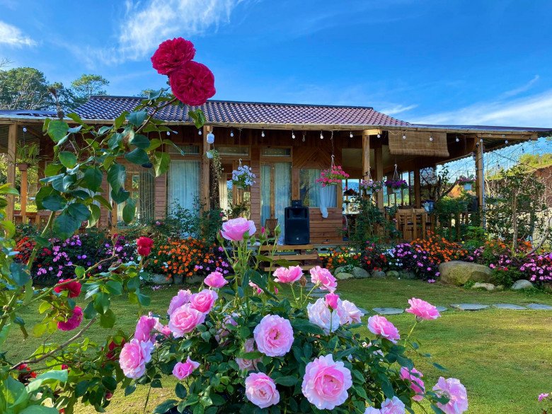 Bỏ phố về quê, mẹ đảm Lâm Đồng xây nhà gỗ giữa vườn hồng, đẹp như truyện cổ tích - 6