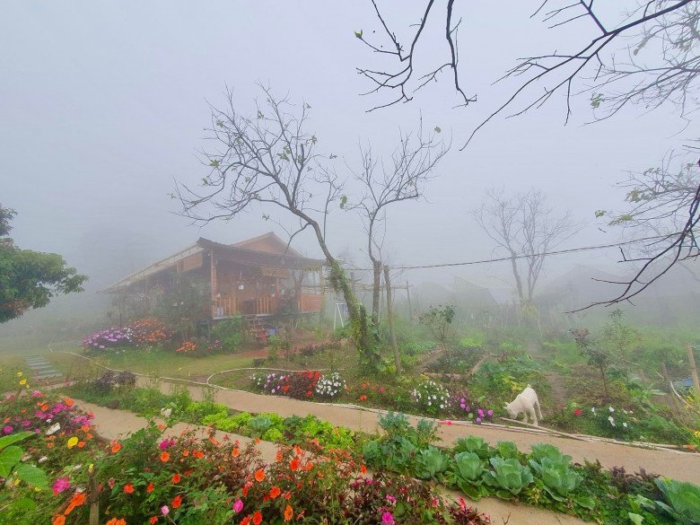 Bỏ phố về quê, mẹ đảm Lâm Đồng xây nhà gỗ giữa vườn hồng, đẹp như truyện cổ tích - 8