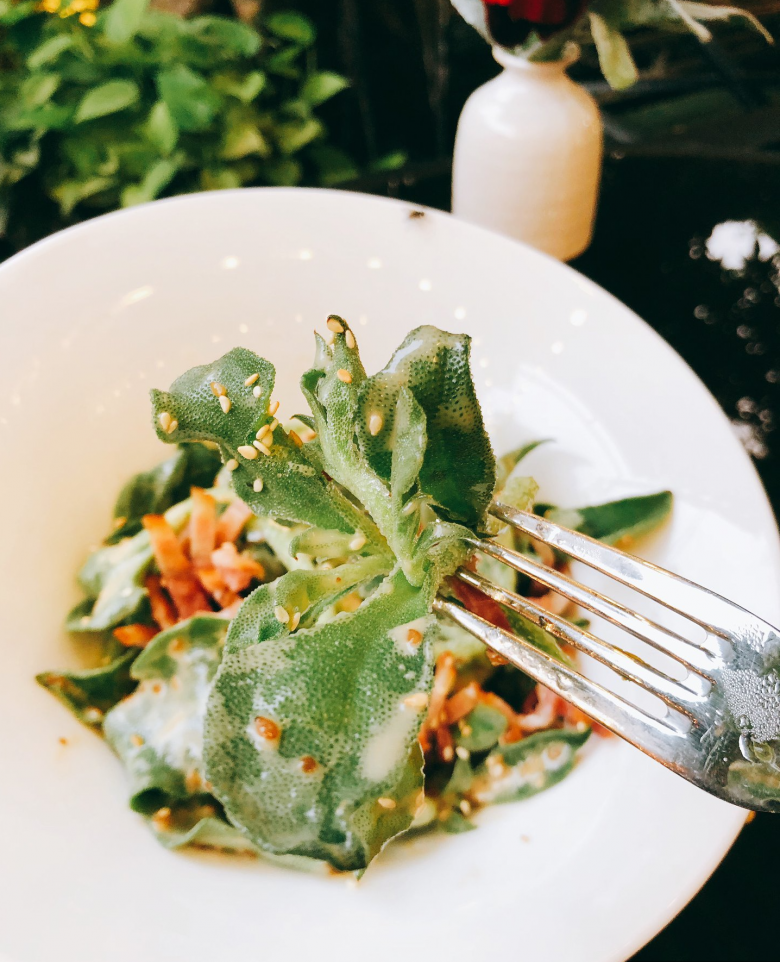  Trong thành phần dinh dưỡng của rau có giàu chất canxi, magie, kali cũng như đầy đủ các loại khoáng, vitamin A, E,… carotene và pinitol, mang đến hiệu quả chống lão hoá cực kỳ tốt cũng như có lợi cho sức khoẻ.