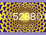 Eva tám - Trắc nghiệm tâm lý: Bạn nhìn thấy con số nào đầu tiên?