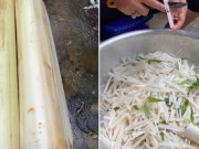 Lifestyle - Thân chuối bỏ đi cho lợn ăn, sang Nhật bán 300.000 đồng 1 khúc