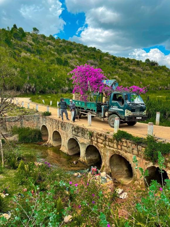 Cháu trai gia tộc giàu có nhất Việt Nam khoe dàn hoa bung nở khắp lối trên ngôi nhà nhỏ giữa thảo nguyên - 12