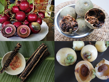 6 loại quả đặc biệt chỉ có ở miền Tây, xưa rụng đầy không ai nhặt, nay thành đặc sản du khách lùng tìm