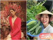 Mỹ nhân Việt ly hôn xong càng đẹp càng giàu: Lệ Quyên dát vàng biệt thự, Diệp Bảo Ngọc mê trồng rau