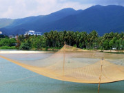 Lifestyle - Về Nam Ô xem làng chài cổ