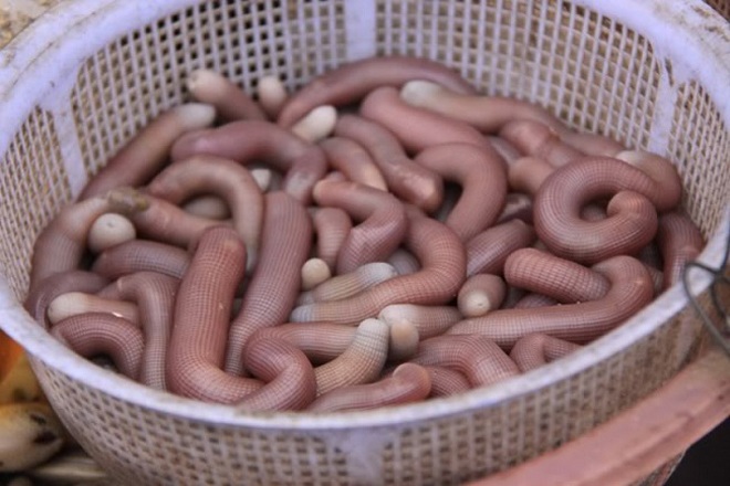 Những món đặc sản có hình dáng nhạy cảm khiến thực khách đỏ mặt, có loại 10 triệu/con nhưng cực bổ - 3