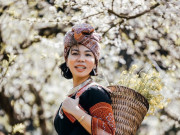 Lifestyle - Người phụ nữ Hải Phòng hóa thân thành cô gái H'mông về với mùa hoa mận nở trắng trời cao nguyên Mộc Châu