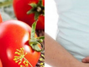 Sức khỏe - 4 kiểu ăn cà chua gây dễ dẫn đến ngộ độc, thậm chí gây ung thư, nhiều người đang mắc phải mà không biết