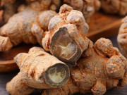 Sức khỏe - Loại củ tốt hơn cả nhân sâm, ở Việt Nam mọc nhan nhản nhưng ít ai dùng vì có vị "khó đỡ"