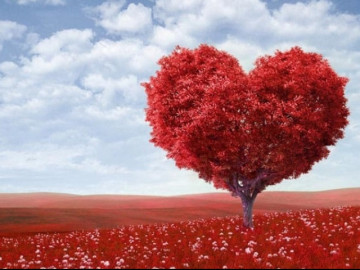 Câu chuyện cảm động đằng sau ngày lễ tình nhân Valentine 14/2