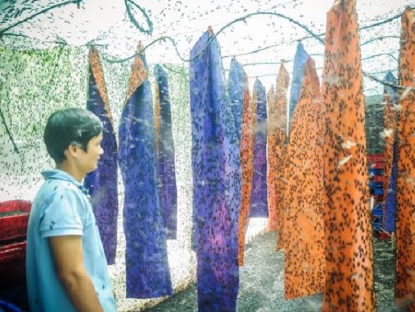 Kiếm tới 80 triệu đồng/tháng chỉ nhờ nuôi loại côn trùng ai cũng ghét - 4