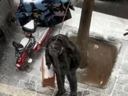 Tin tức - Ly hôn do mẹ chồng hà khắc, người phụ nữ sốc nặng khi chồng cũ đến xin tái hôn: "Mẹ anh đổi ý rồi"