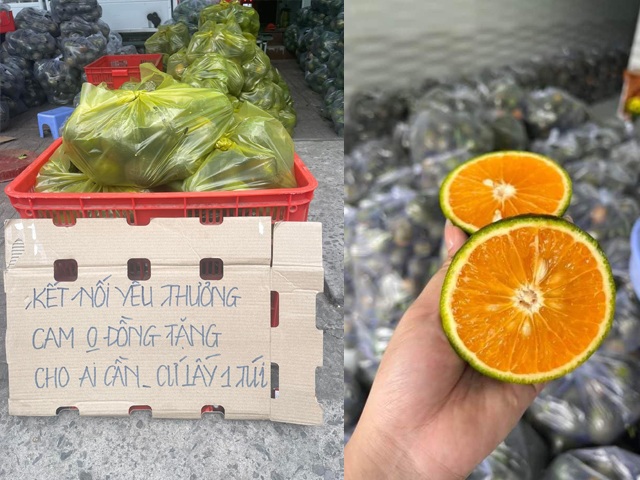 Giá cam sành đặc sản miền Tây rẻ chưa từng có, còn dưới 5.000 đồng/kg, chị em lao vào “giải cứu” - 4