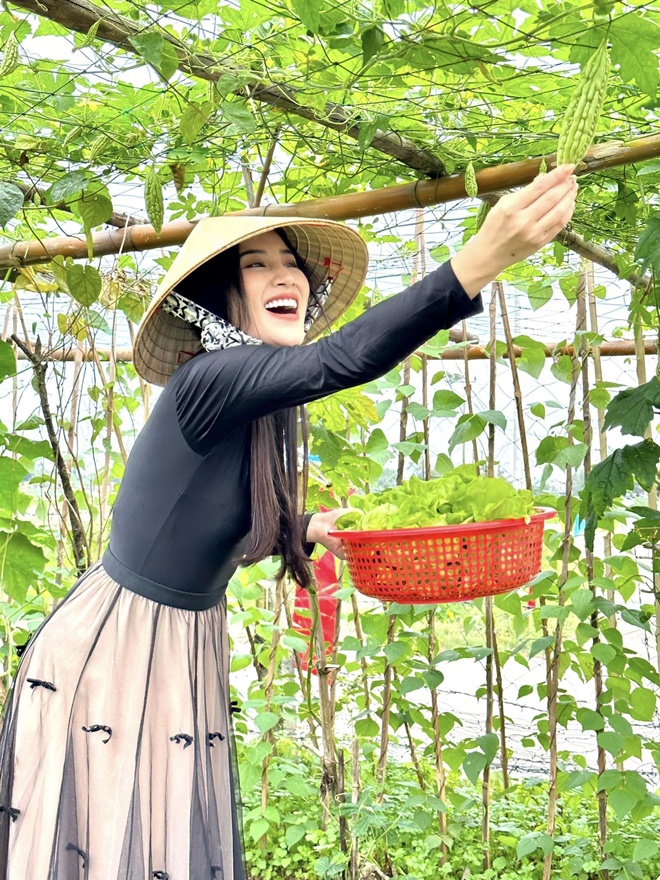  Cô luôn khẳng định mình và Quang Lê chỉ là anh em thân thiết.