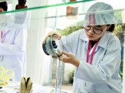 Tin tức - Ngành nghề nào được dự báo sẽ "hot" trong 5-6 năm tới?