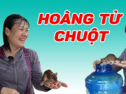 Tin tức - Mẹ đơn thân Bến Tre "ấp" chuột dừa 24/24 khiến không ít người sợ hãi, phản ứng của con gái gây ngỡ ngàng