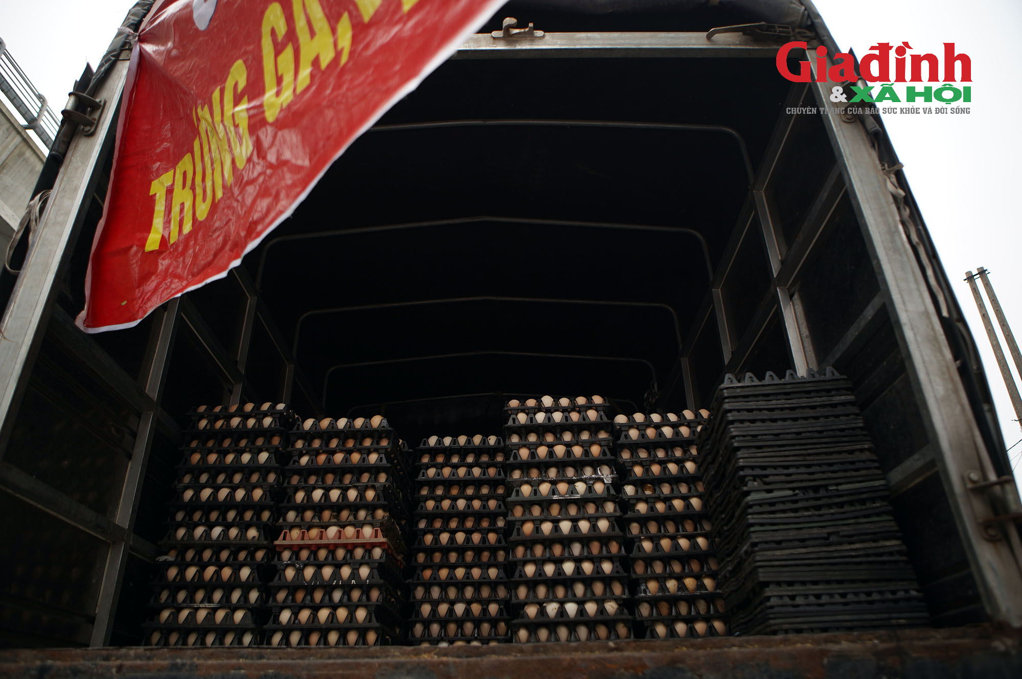 Bởi theo ông Sáng, đến nay, chính quyền địa phương hoàn toàn chưa nhận được bất kỳ phản ánh hay đề nghị hỗ trợ nào từ phía người chăn nuôi.