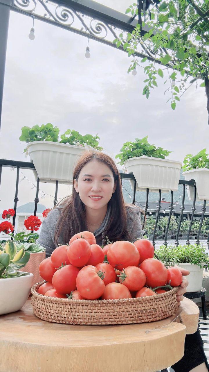 Mẹ đảm xinh đẹp trồng vườn sân thượng, cà chua sai quả đến mức sập giàn sắt - 1