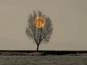 Eva tám - Trắc nghiệm tâm lý: Điều đầu tiên nhìn thấy tiết lộ bạn có phải người giỏi ngụy trang