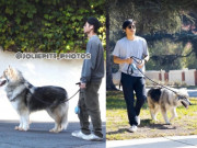 Giải trí - Sau khi làm nghệ sĩ, con trai nuôi gốc Việt của Angelina luôn làm điều đặc biệt này