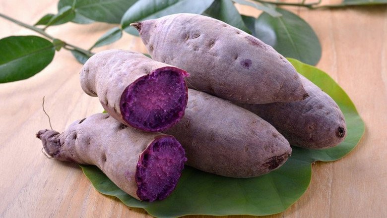 Khoai lang tím chứa chất chống oxy hóa anthocyanin làm chậm sự phát triển của tế bào ung thư. (Ảnh minh họa)