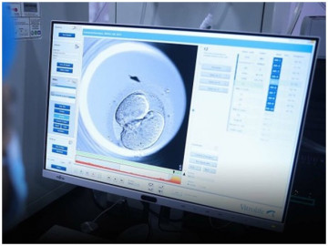 Sinh con ra phát hiện đứa trẻ không giống mình và sự nhầm lẫn tai hại của bệnh viện