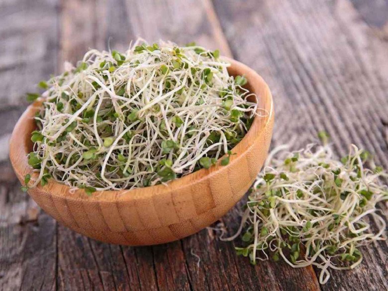 6 loại rau tốt nhất nên ăn trong mọi bữa, có loại người Việt coi bẩn nhất, lắm sán nhưng người Mỹ ca ngợi hết lời - 4