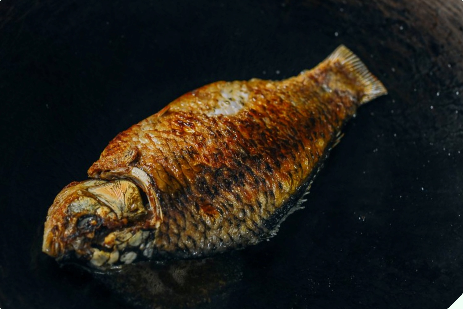 Nấu canh cá bằng nước nóng hay lạnh? Bấy lâu làm sai bảo sao thịt cá không mềm, dinh dưỡng giảm 1 nửa và còn rất tanh - 9