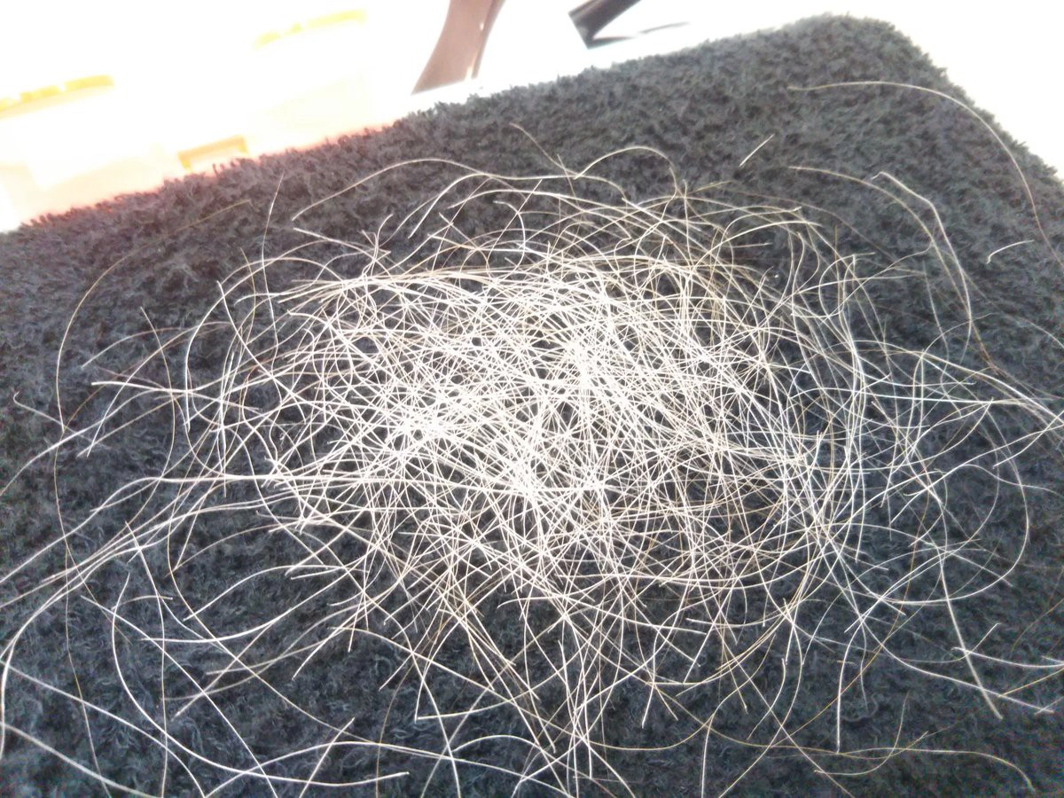 Nghề lạ “bới đen tìm trắng” hái ra tiền, khách vào nườm nượp, ra về trông trẻ thêm mấy tuổi - 4