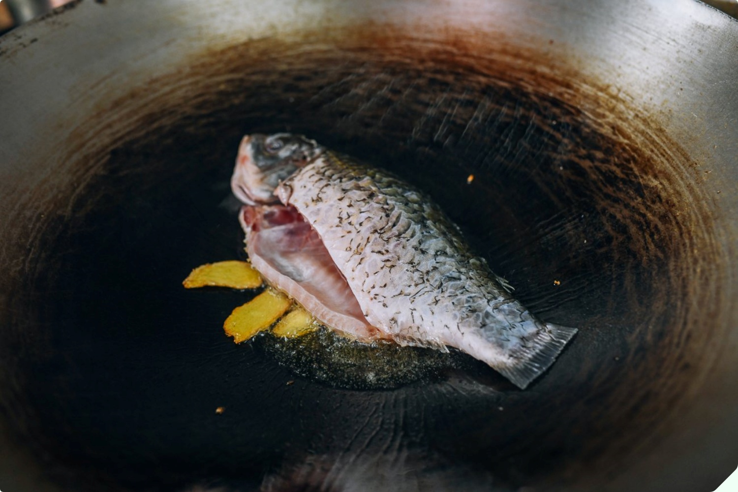 Nấu canh cá bằng nước nóng hay lạnh? Bấy lâu làm sai bảo sao thịt cá không mềm, dinh dưỡng giảm 1 nửa và còn rất tanh - 8