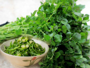 Sức khỏe - 6 loại rau tốt nhất nên ăn trong mọi bữa, có loại người Việt coi bẩn nhất, lắm sán nhưng người Mỹ ca ngợi hết lời