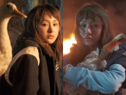 Nhạc - Hiền Hồ vừa trở lại với âm nhạc đã gặp "sóng gió": Bị nghi đạo nhái hình ảnh, nội dung khó hiểu