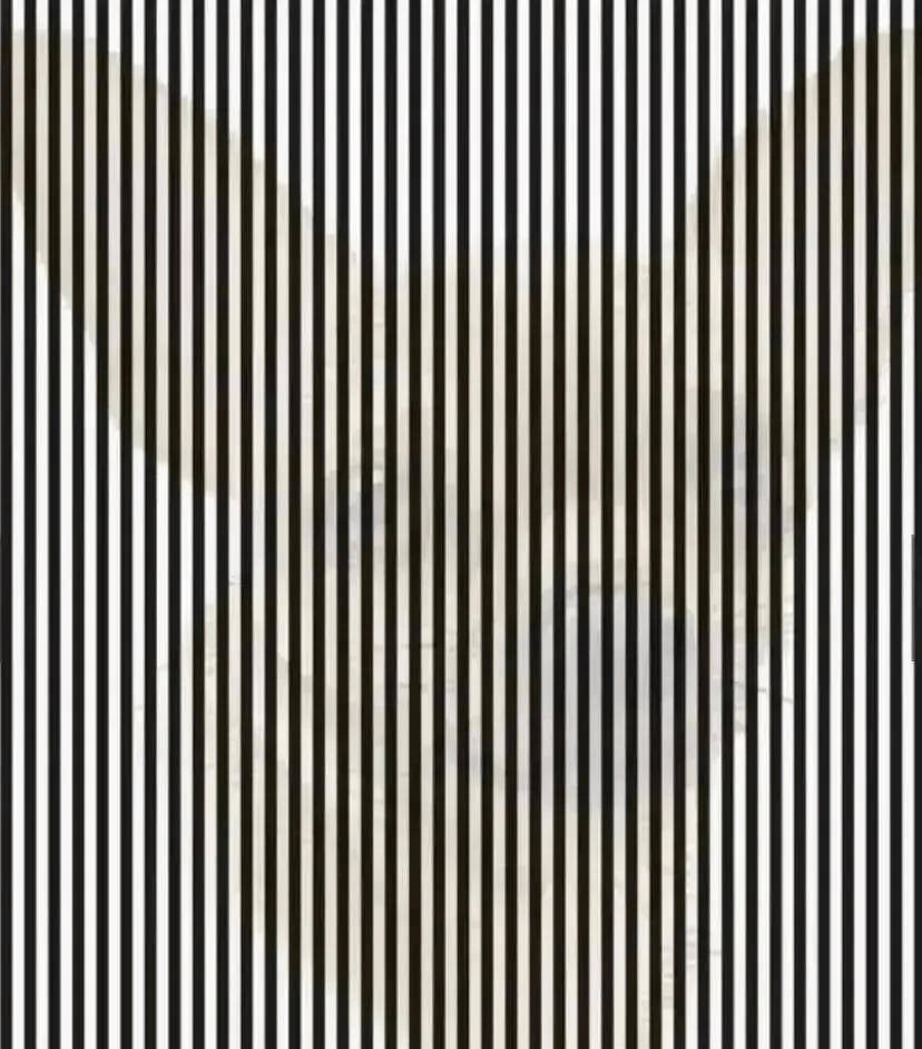 Trắc nghiệm tâm lý: Bạn thấy hình ảnh gì đầu tiên trong tranh? - 1