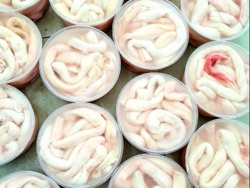 Đặc sản xưa không ai biết ăn, giờ chị em nội trợ săn lùng, phải đặt trước cả tháng mới có, 370.000 đồng/kg